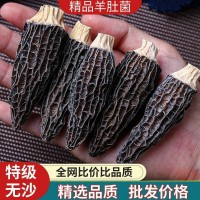 古田食用菌精選頭茬優質羊肚菌干貨10g大小包裝規格各類平臺代發